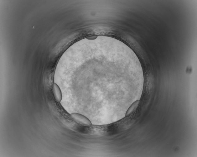 X0000114220405200911201051