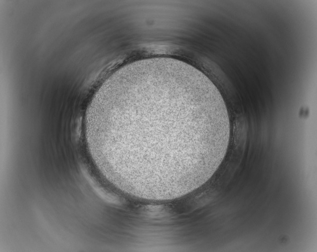 X0000114220406200911201051