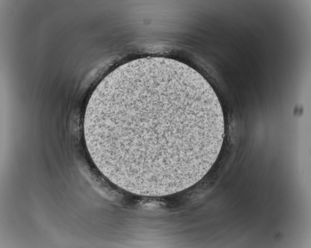 X0000114220407200911201051