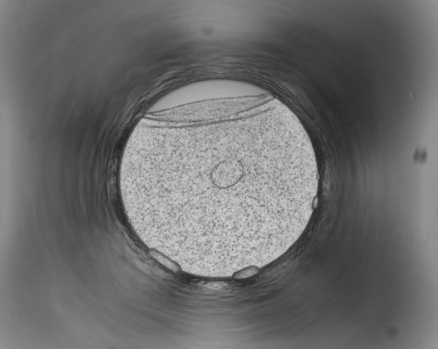 X0000114220409200911201051