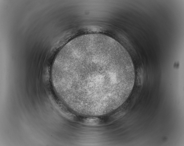 X0000114220410200911201051