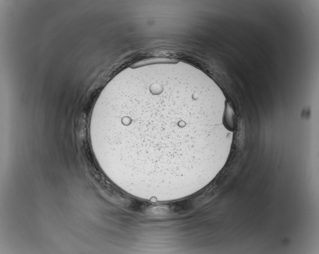 X0000114220413200911201050