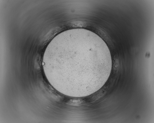 X0000114220414200911201050
