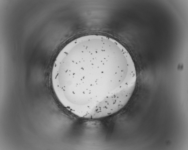 X0000114220415200911201050