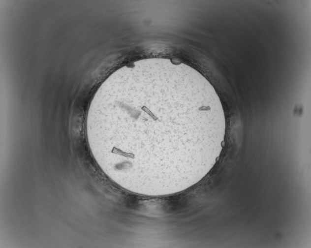 X0000114220417200911201050