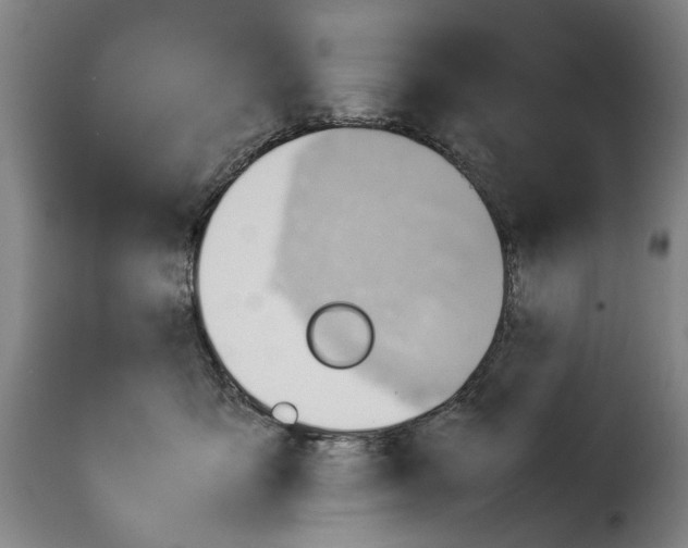 X0000114220419200911201050