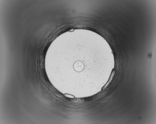 X0000114220421200911201050
