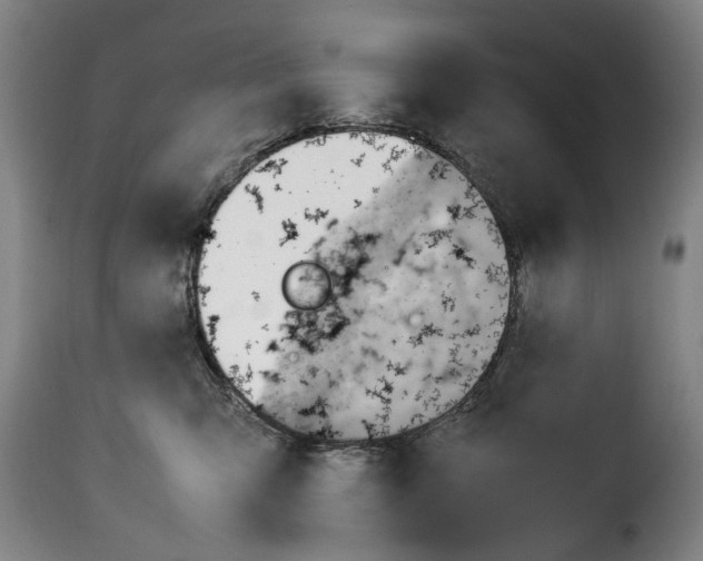 X0000114220423200911201050