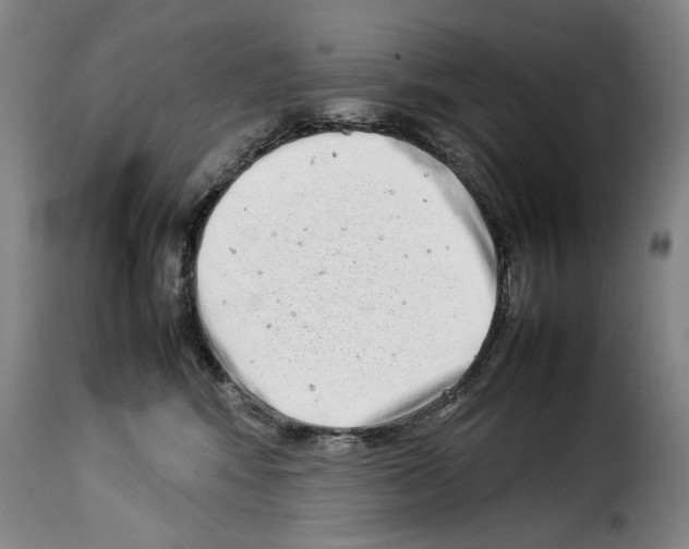 X0000114220424200911201050