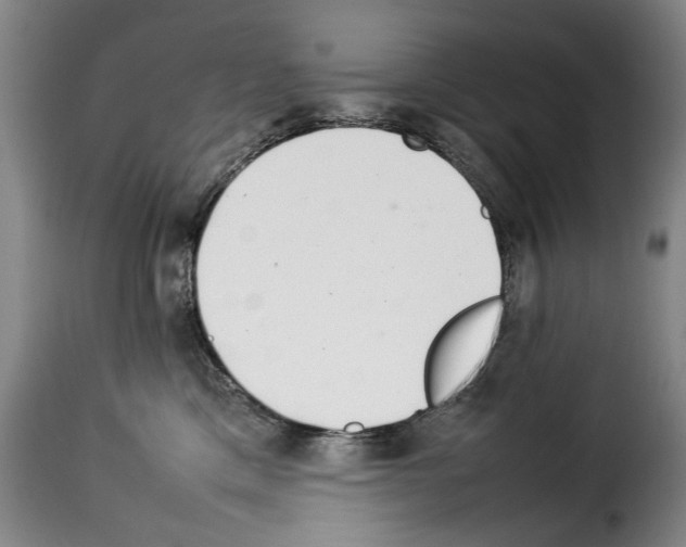 X0000114220425200911201050
