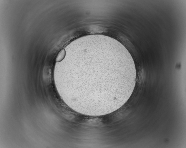 X0000114220426200911201050