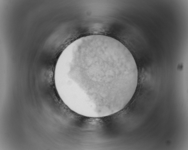 X0000114220427200911201050