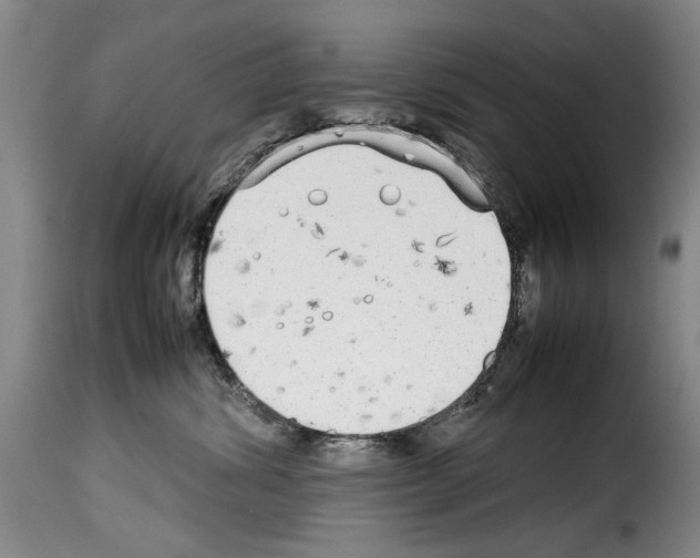 X0000114220428200911201050