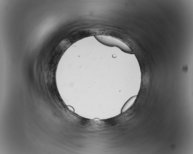 X0000114220429200911201050
