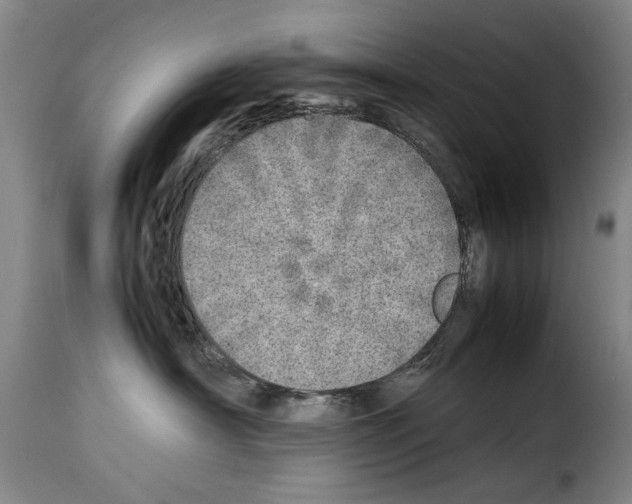 X0000114220430200911201050
