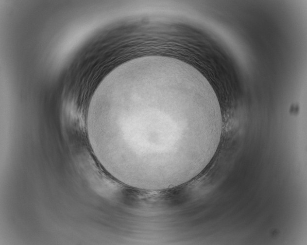 X0000114220431200911201050