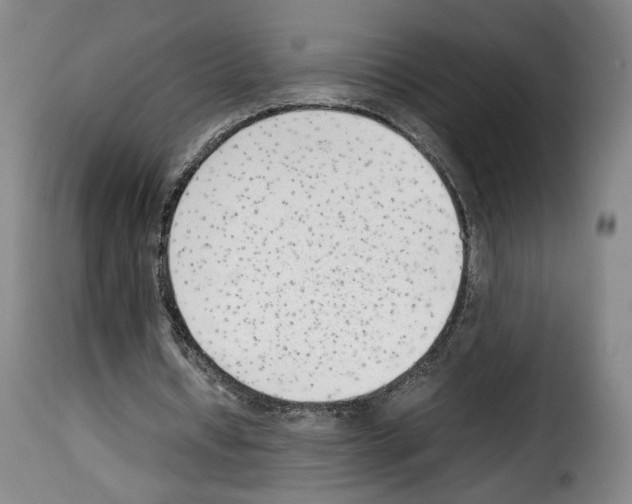 X0000114220434200911201049