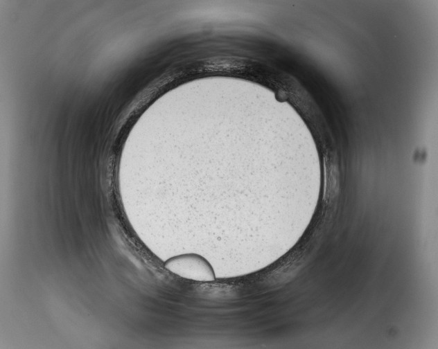X0000114220435200911201049