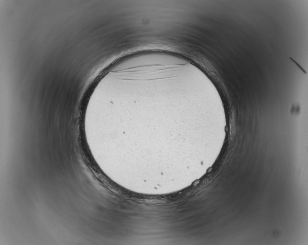 X0000114220436200911201049