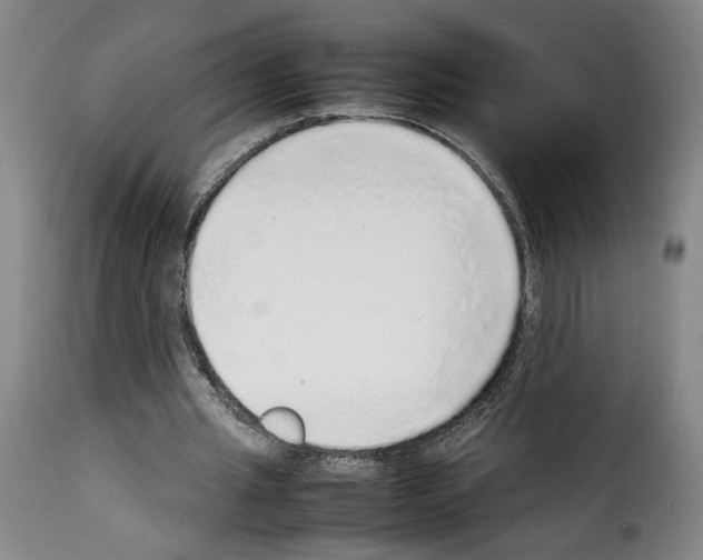 X0000114220437200911201049