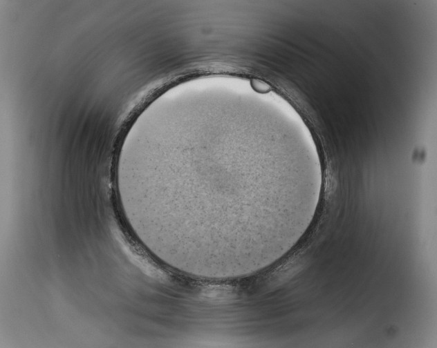 X0000114220438200911201049