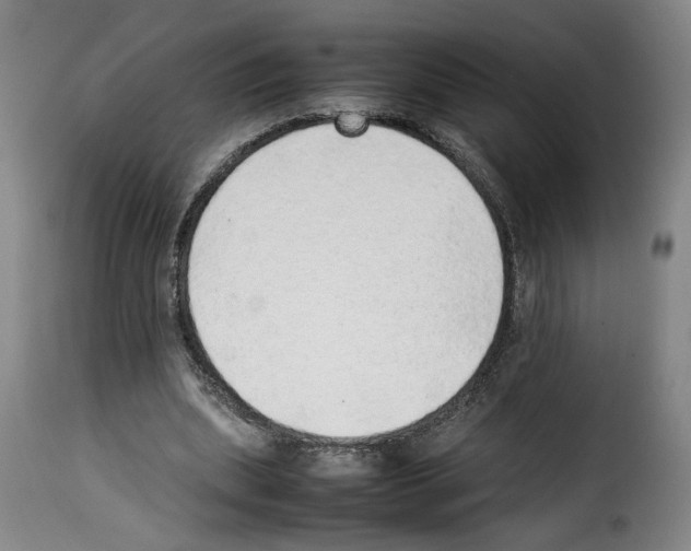 X0000114220439200911201049