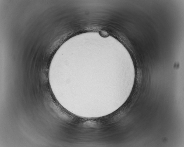 X0000114220441200911201049