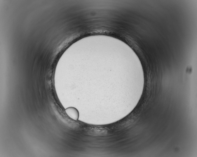 X0000114220443200911201049