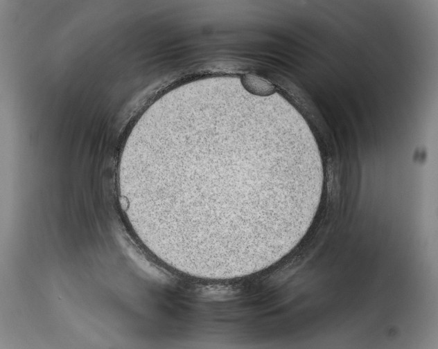 X0000114220445200911201049