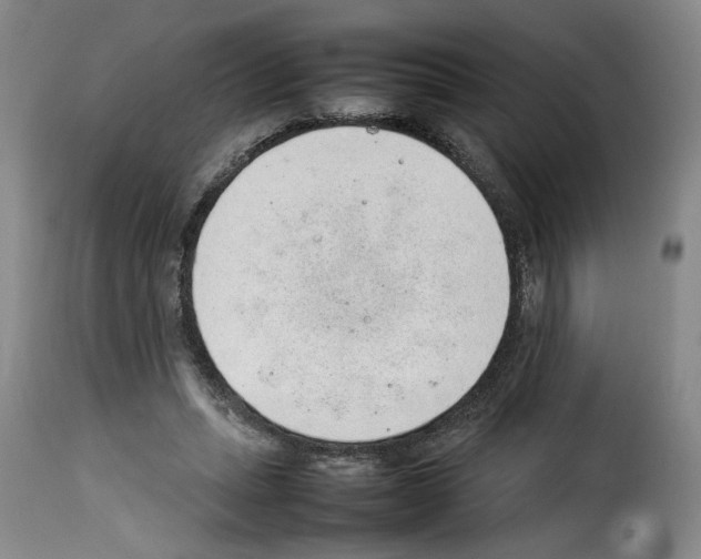 X0000114220447200911201049