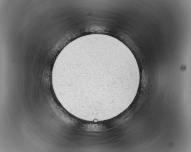 X0000114220449200911201050