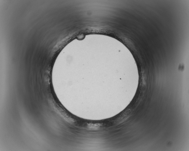 X0000114220450200911201050