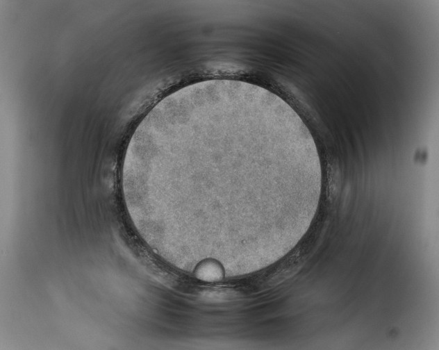 X0000114220451200911201050