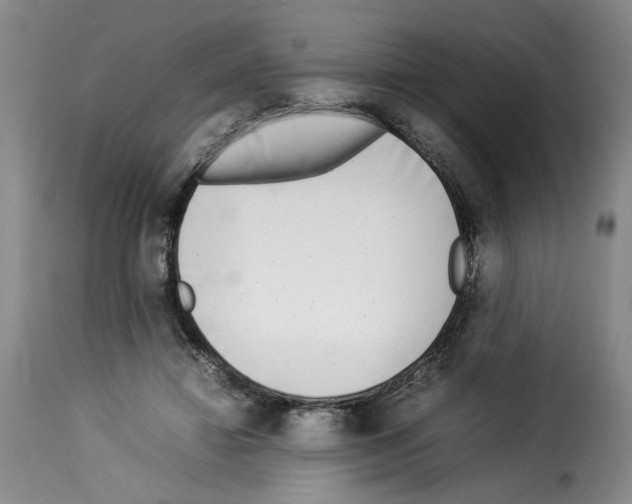 X0000114220452200911201050