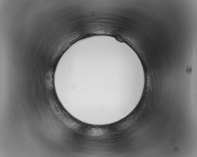 X0000114220453200911201050