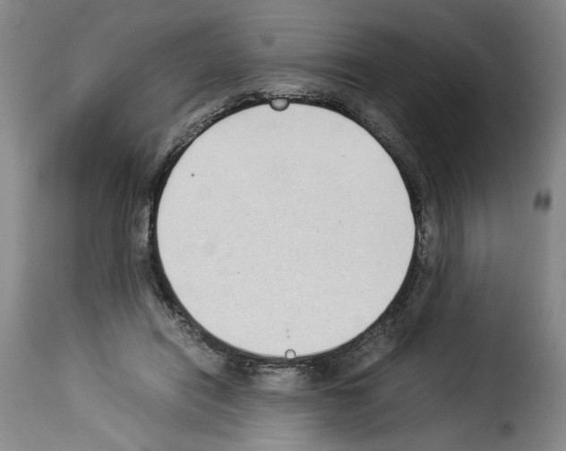 X0000114220454200911201050