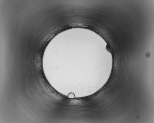 X0000114220457200911201050