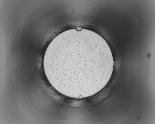 X0000114220458200911201050