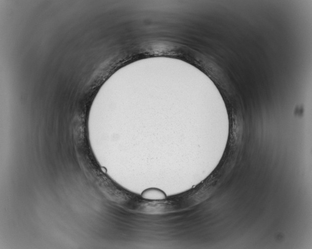 X0000114220461200911201050