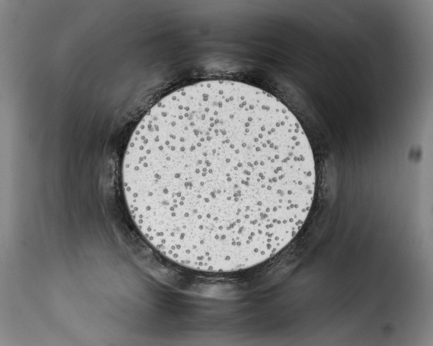 X0000114220463200911201050