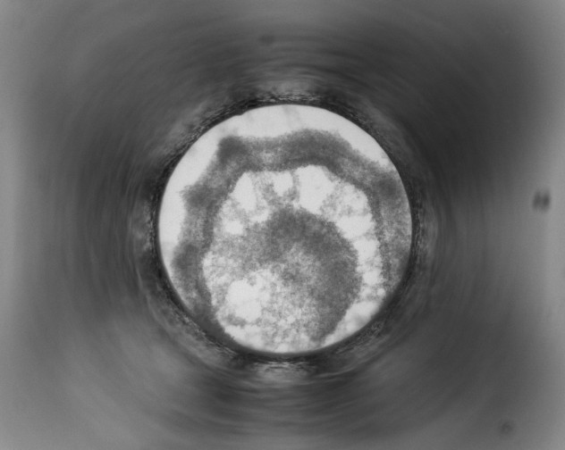 X0000114220465200911201050