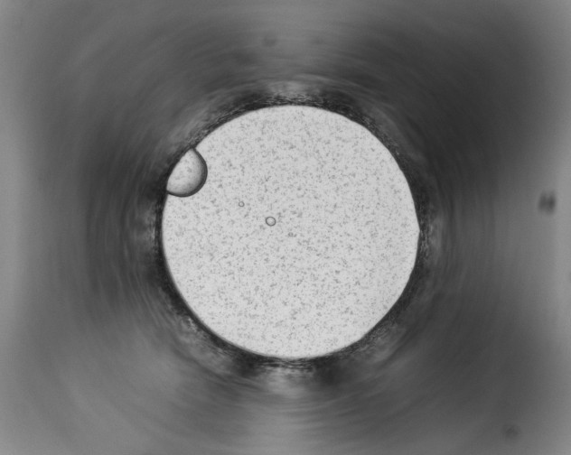 X0000114220466200911201050