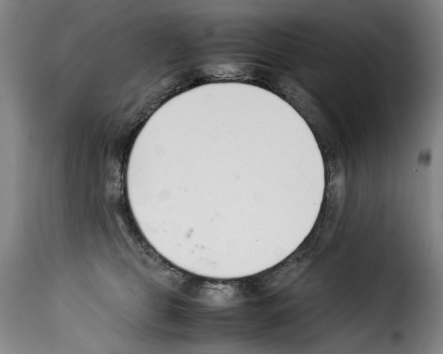 X0000114220469200911201050