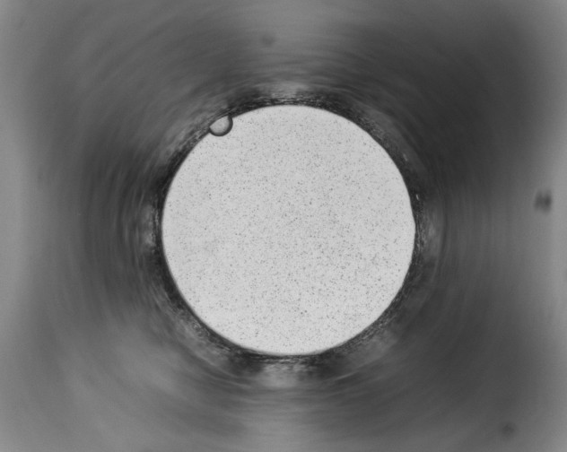 X0000114220470200911201050
