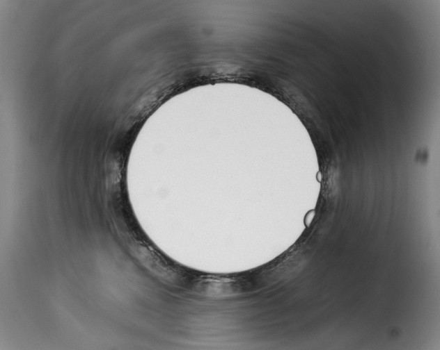 X0000114220472200911201050