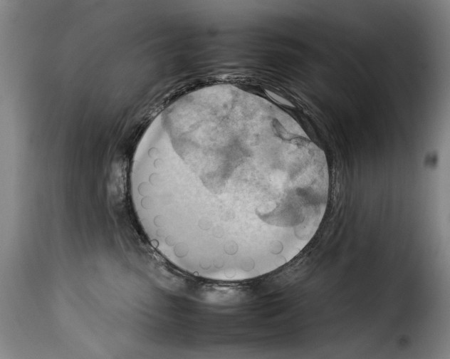 X0000114220475200911201050