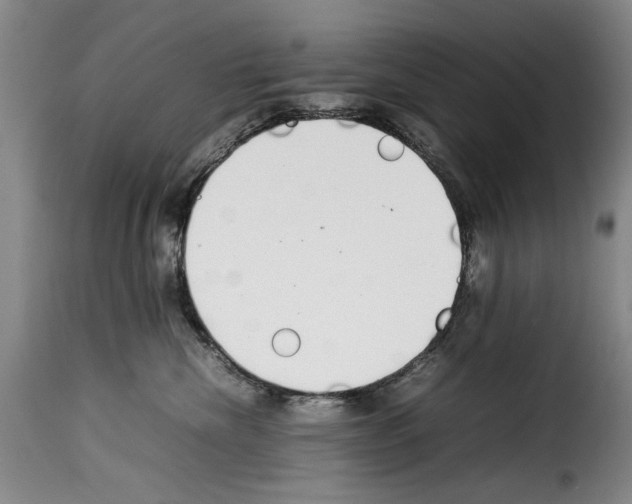 X0000114220476200911201050