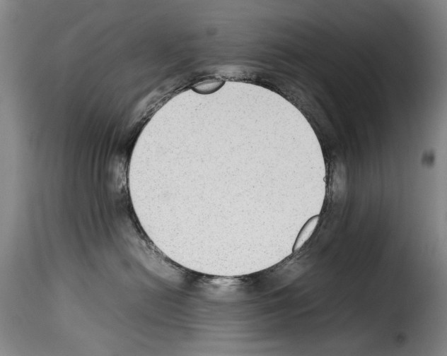 X0000114220478200911201050