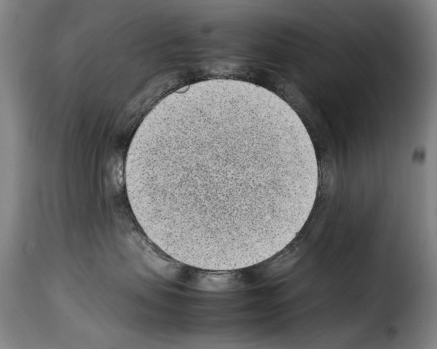 X0000114220479200911201050