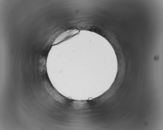 X0000114220480200911201050